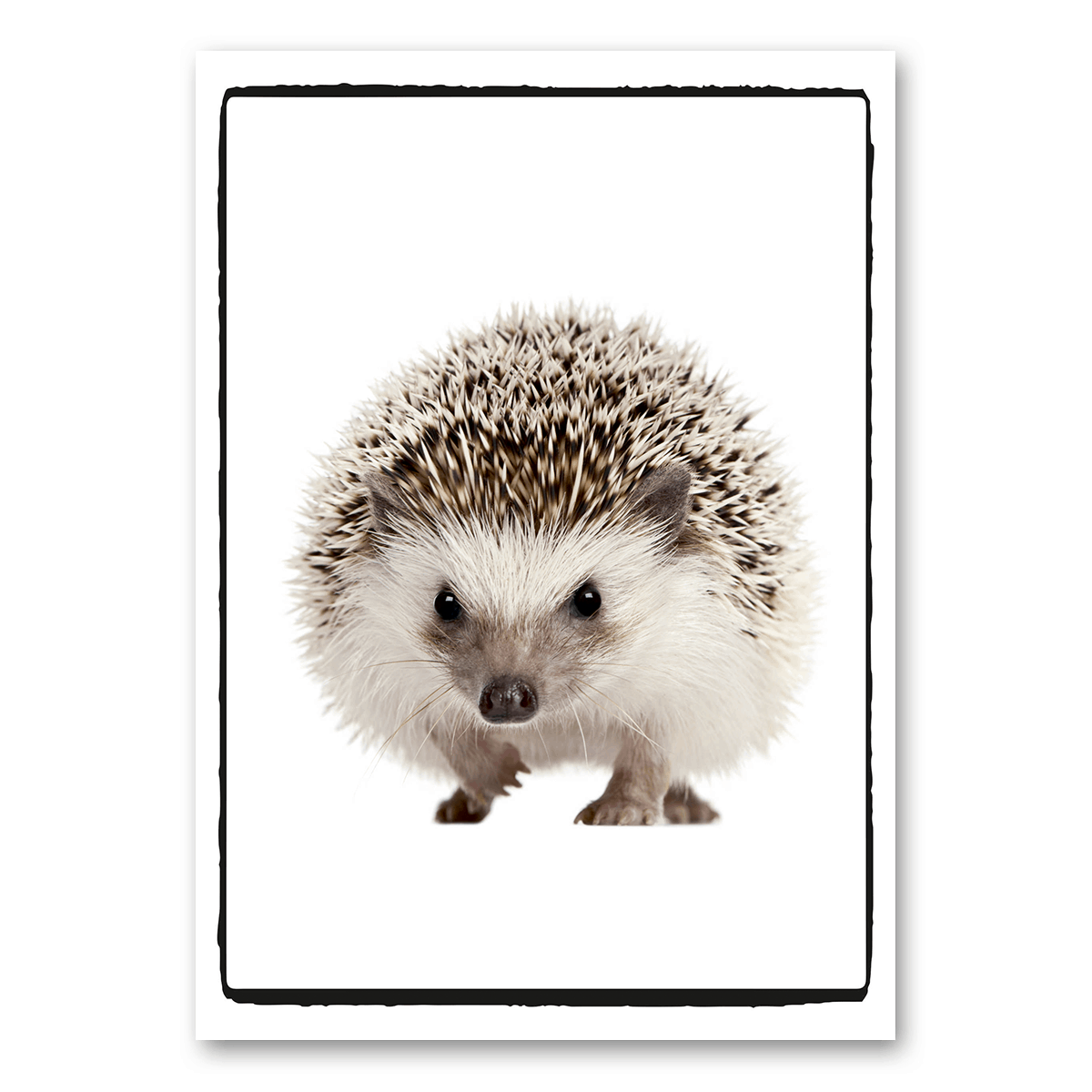 A5 | Igel