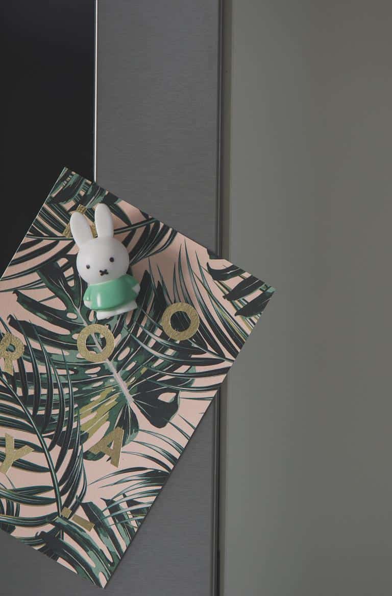 MIFFY Magnete *Rosa/Grün*