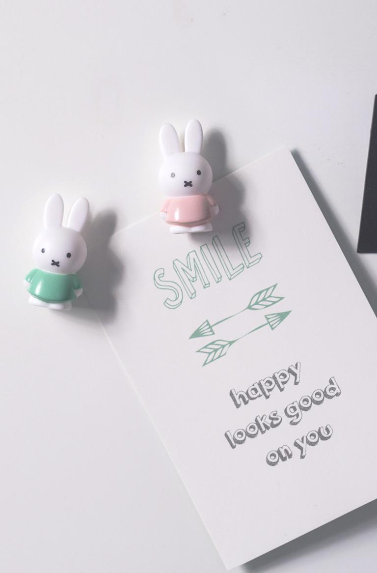 MIFFY Magnete *Rosa/Grün*
