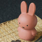 Spardose - MIFFY Medium - Terra