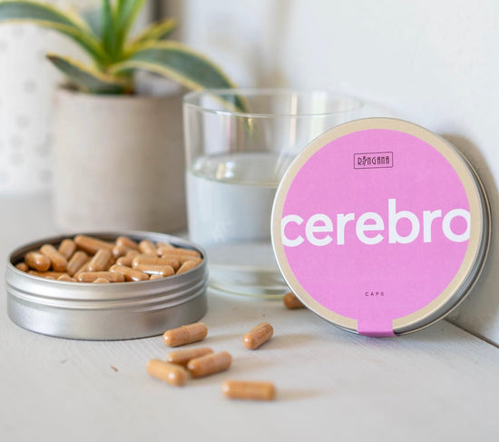 Ringana Cerebro Caps – Nahrungsergänzung für Konzentration