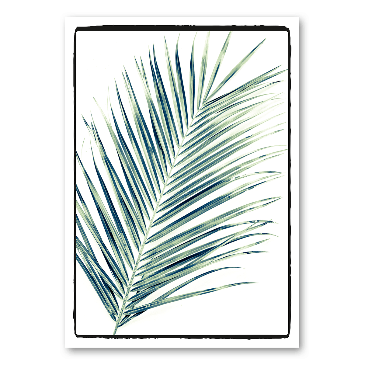 Leinwandkarte - Dirty Old Canvas® - Palmblatt