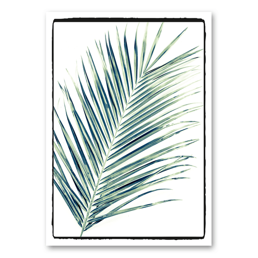Leinwandkarte - Dirty Old Canvas® - Palmblatt