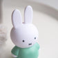 Spardose - MIFFY Medium Grün